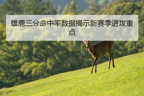 雄鹿三分命中率数据揭示新赛季进攻重点